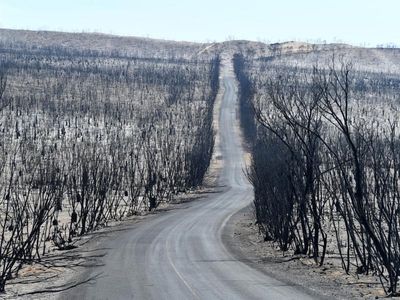 SA fire chief quits to return to the UK