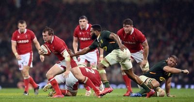 Today's rugby news as South Africa trio blocked from facing Wales and best-paid rugby positions revealed