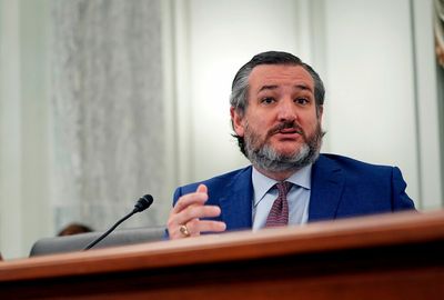 Cruz "does nothing" about gun violence