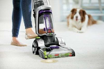 Best carpet cleaners for picking up spills, dirt and pet hair