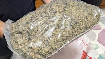 NT Police arrest nine people over alleged commercial drug supply to Barkly region