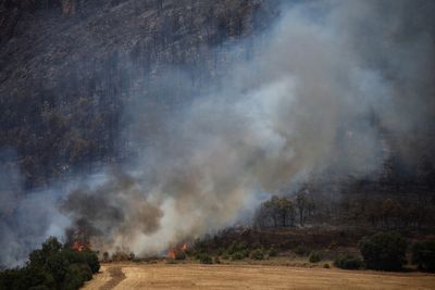 Wildfires ravage woods in Spain's Catalonia as heat-wave bites