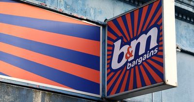 Firm established by late South African billionaire businessman buys shares in B&M