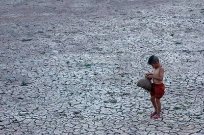 Climate change and air pollution are wrecking children’s health, a landmark review reveals