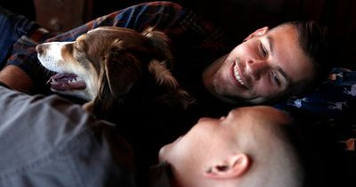 'My boyfriend wants me to treat him like a dog - I love him but it's weird'