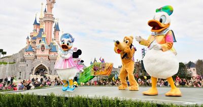 Disney mega fans can visit 12 parks in 20,000 mile global jet adventure costing £90,000