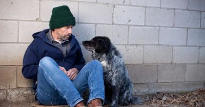 'I stole a homeless man's dog and gave it to my cousin - people say I'm cruel'