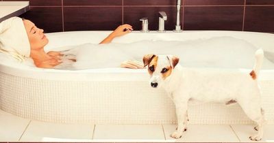 Woman sparks amusing debate over whether pets should see you naked