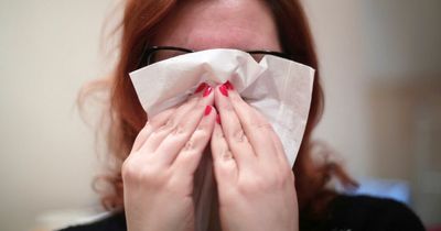 Hay fever warning signs you should NOT ignore