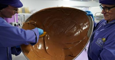 Cadbury launches search for 'chocolate demonstrator' with a sweet tooth