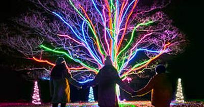 Roundhay Park to launch new magical Christmas light trail