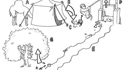 Hidden Slippery Slope Risk and the Ad Hominem Heuristic