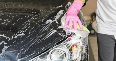 9 hacks to remove bug splats and tree sap from your car this summer