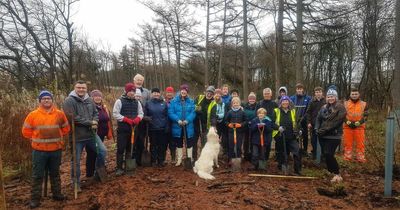 West Lothian sees 4,000 trees planted as community battles ash tree killer