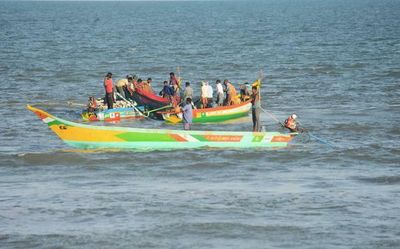 Andhra Pradesh: Fishermen roll up their sleeves as two-month ban ends