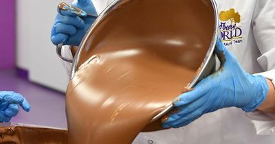 Cadbury World is recruiting for some dream jobs for chocolate lovers