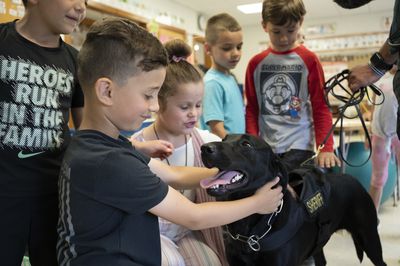 Dogs trained to sniff out COVID in schools are getting a lot of love for their efforts
