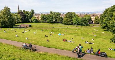 Pollen count warning for Glasgow as expert predict high levels over weekend