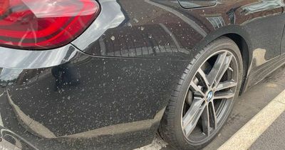 ‘Neighbour from hell’ sprayed man’s BMW car with bleach water