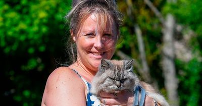 Cat owner searched for missing pet for 10 YEARS before he's found 250 miles away