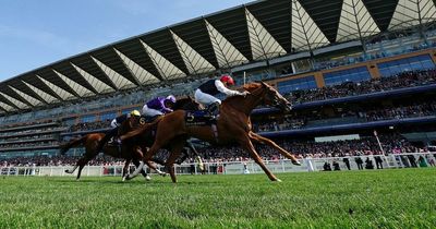 Kyprios wins Ascot Gold Cup as Dettori finds bad luck in running again