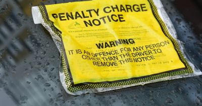 Parking tickets: do you have to pay up if you get a fine?