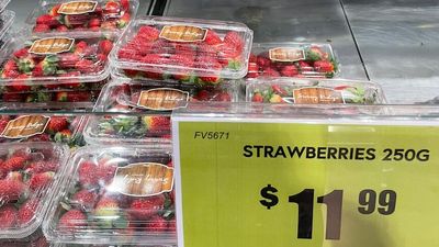 Strawberry prices soar after wet weather, disease impact winter crops