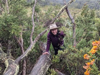 Rare subalpine plants survive bush inferno