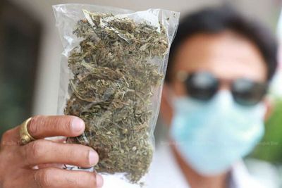 One-stop cannabis knowledge shop opens