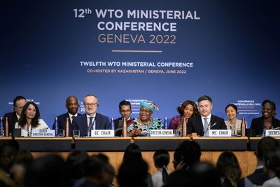 WTO strikes global trade deals after 'roller coaster' talks