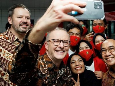 Husic focuses on Indonesia in industry diplomacy reset