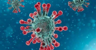 NHS Dumfries and Galloway not "overly worried" about the prospect of new coronavirus wave