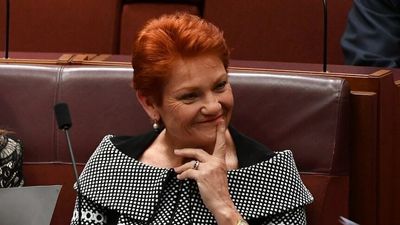 One Nation's Pauline Hanson wins Queensland Senate seat, Amanda Stoker out