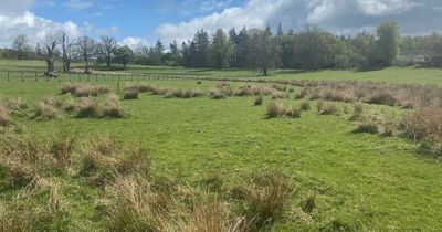 Plans lodged to build almost 40 new houses in rural Stirlingshire village