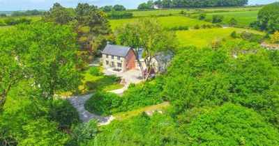 Idyllic country cottage that comes with surprise accommodation in the garden