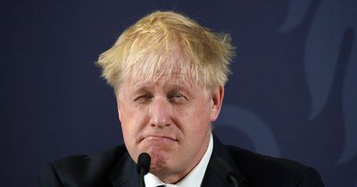 Boris Johnson will be judged at the 'bollocks box' says Tory Minister in TV slip up