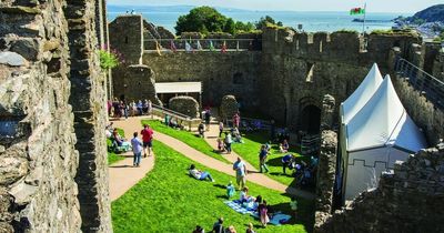 MumblesFest 2022: The line-up for the Oystermouth Castle musical event this summer