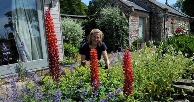 Lockerbie garden to open to the public for the first time