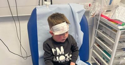 Mum says her four-year-old son is 'traumatised' after being knocked over by delivery cyclist