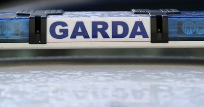 Shooter who fired at Galway house 'may belong to Dublin gang'