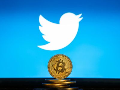 Elon Musk's Twitter Takeover Could Address Crypto Scams, Usher In Bitcoin, Dogecoin Payments