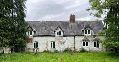 Inside the £1.25m hidden renovation project that comes with a huge slice of Welsh countryside