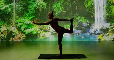 Beautiful immersive yoga launching in the RDS next week