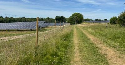 Clean energy firm secures planning permission for Somerset solar farm