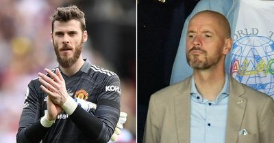 David de Gea could find same Luis Enrique issue with Erik ten Hag at Man Utd