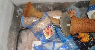 Filthy takeaway riddled with contamination risks, raw chicken and dirty utensils