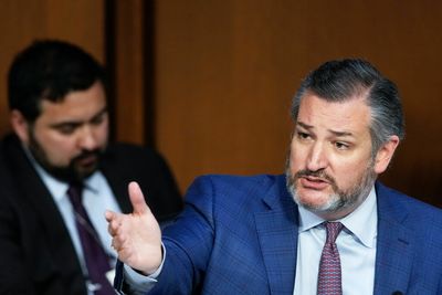 Cruz accuses Schumer of Kavanaugh hit