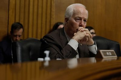 GOP senator negotiating bipartisan gun deal gets booed at Texas Republican convention