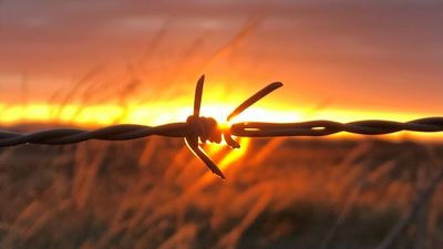Australian agricultural land tipped to hold its value amid economic downturn