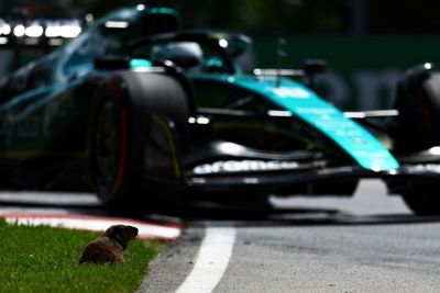Never mind porpoising, Sainz troubled by groundhog at Canadian GP